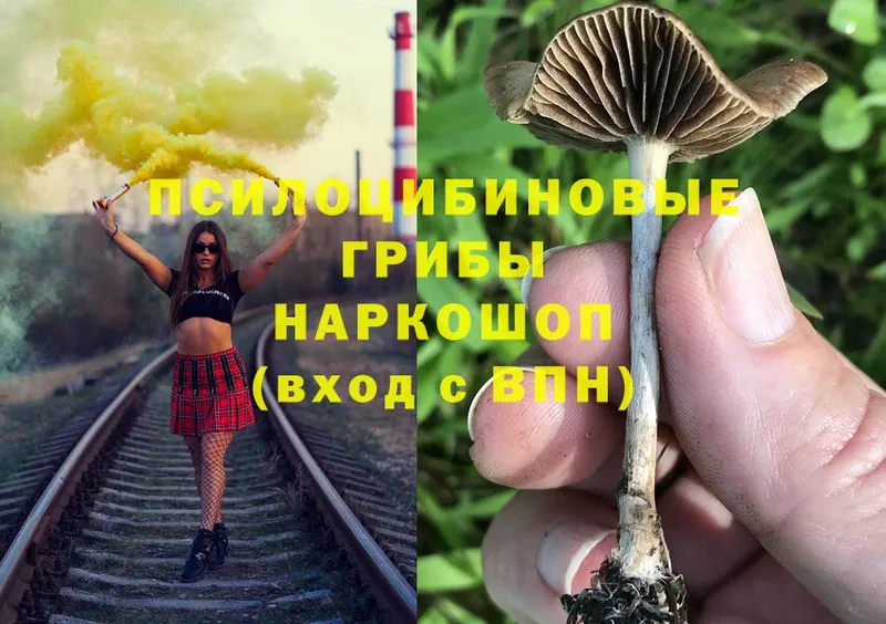 Псилоцибиновые грибы Magic Shrooms  мориарти наркотические препараты  Красный Кут 